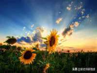 哈尔滨帮帮团广告传播有限公司