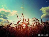 哈尔滨帮帮团广告传播有限公司