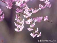 哈尔滨帮帮团广告传播有限公司
