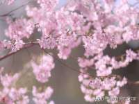 哈尔滨帮帮团广告传播有限公司