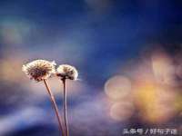 哈尔滨帮帮团广告传播有限公司