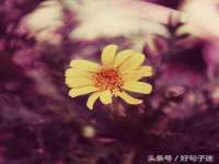 哈尔滨帮帮团广告传播有限公司