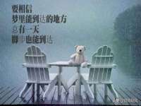 哈尔滨帮帮团广告传播有限公司