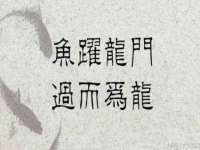 哈尔滨帮帮团广告传播有限公司