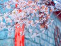 哈尔滨帮帮团广告传播有限公司