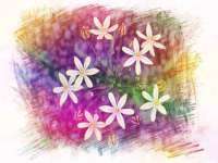 哈尔滨帮帮团广告传播有限公司