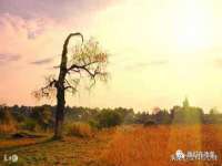 哈尔滨帮帮团广告传播有限公司