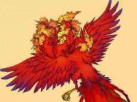 哈尔滨帮帮团广告传播有限公司