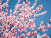 哈尔滨帮帮团广告传播有限公司