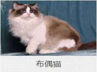 哈尔滨帮帮团广告传播有限公司