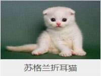 哈尔滨帮帮团广告传播有限公司