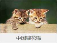 哈尔滨帮帮团广告传播有限公司