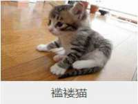 哈尔滨帮帮团广告传播有限公司