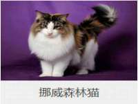 哈尔滨帮帮团广告传播有限公司