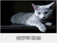 哈尔滨帮帮团广告传播有限公司