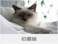 哈尔滨帮帮团广告传播有限公司