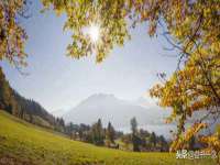 哈尔滨帮帮团广告传播有限公司