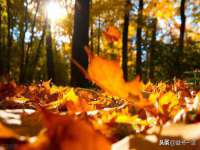 哈尔滨帮帮团广告传播有限公司