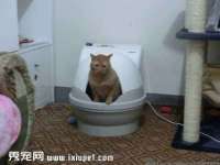 哈尔滨帮帮团广告传播有限公司