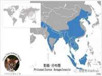 哈尔滨帮帮团广告传播有限公司