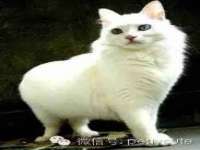 哈尔滨帮帮团广告传播有限公司