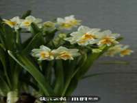 哈尔滨帮帮团广告传播有限公司