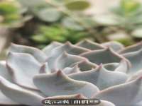 哈尔滨帮帮团广告传播有限公司