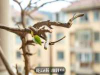哈尔滨帮帮团广告传播有限公司