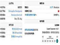 哈尔滨帮帮团广告传播有限公司