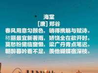 哈尔滨帮帮团广告传播有限公司