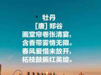 哈尔滨帮帮团广告传播有限公司