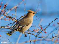 哈尔滨帮帮团广告传播有限公司
