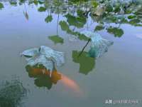 哈尔滨帮帮团广告传播有限公司