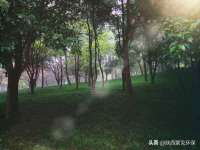 哈尔滨帮帮团广告传播有限公司
