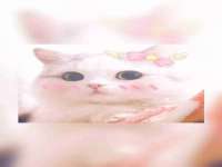 哈尔滨帮帮团广告传播有限公司
