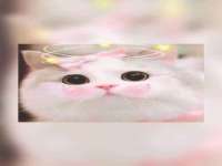 哈尔滨帮帮团广告传播有限公司