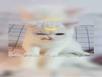 哈尔滨帮帮团广告传播有限公司