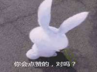 哈尔滨帮帮团广告传播有限公司