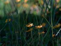 哈尔滨帮帮团广告传播有限公司