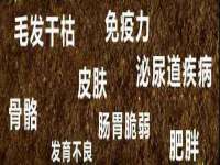 哈尔滨帮帮团广告传播有限公司