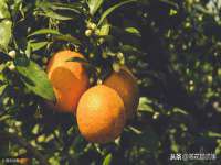 哈尔滨帮帮团广告传播有限公司