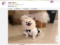 哈尔滨帮帮团广告传播有限公司