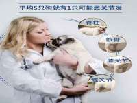 哈尔滨帮帮团广告传播有限公司