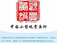 哈尔滨帮帮团广告传播有限公司