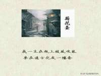 哈尔滨帮帮团广告传播有限公司