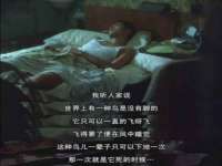 哈尔滨帮帮团广告传播有限公司