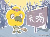 哈尔滨帮帮团广告传播有限公司