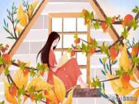 哈尔滨帮帮团广告传播有限公司