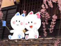 哈尔滨帮帮团广告传播有限公司