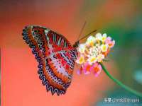 哈尔滨帮帮团广告传播有限公司